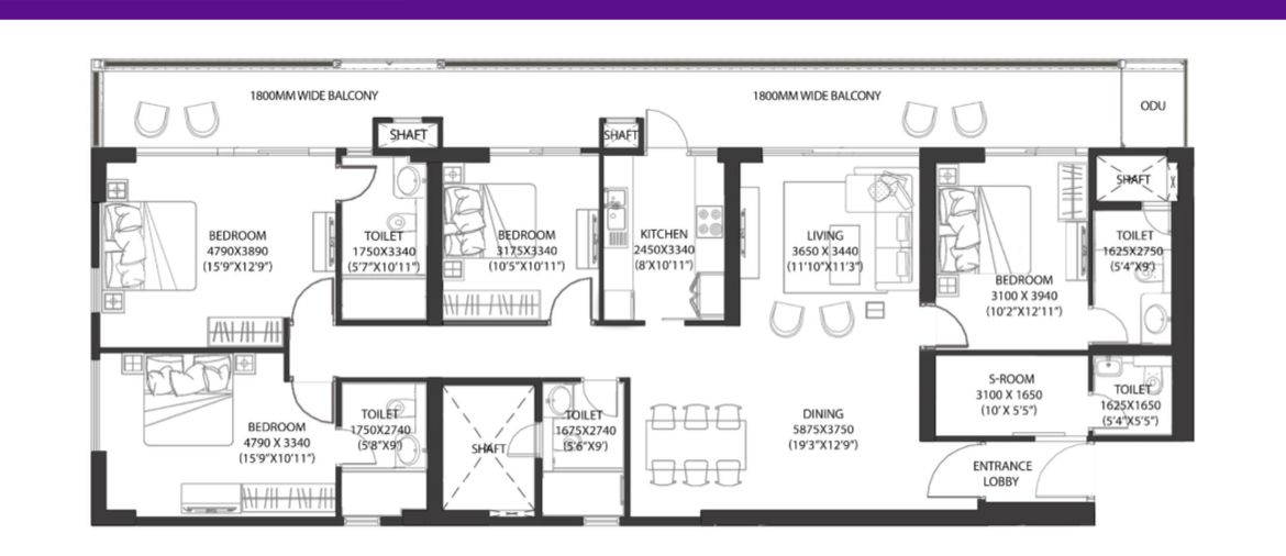 WhatsApp Image 2025-08-25 at 2.17.30 AM